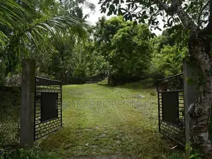 Land for Sale in Warana, Kalagedihena