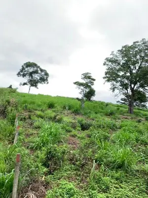 Land for Sale Pussllwewa