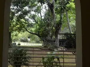 Land for Sale in Warana, Kalagedihena