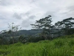 Land for Sale Pussllwewa