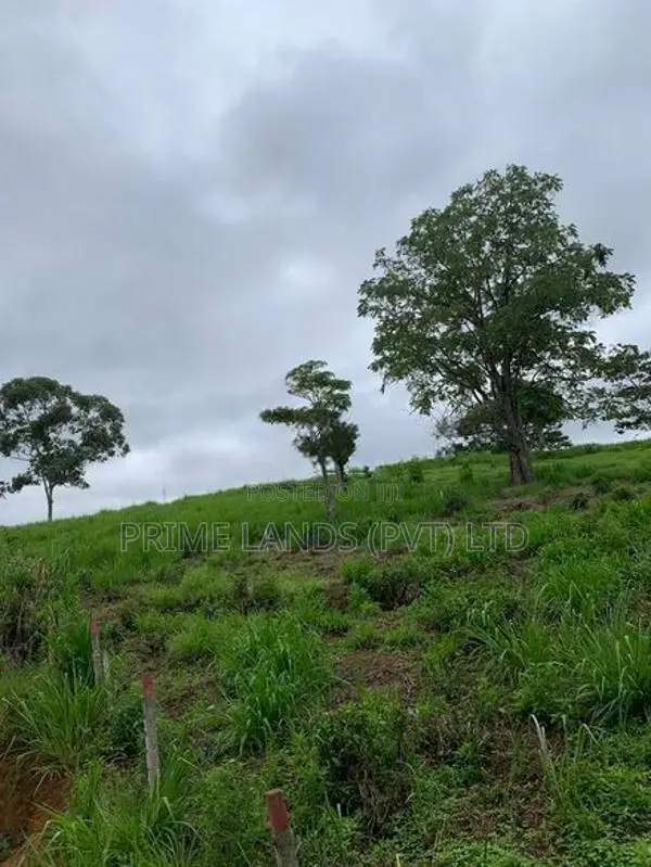 Land for Sale in Pussellawa