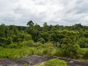 Land for Sale in Warana, Kalagedihena