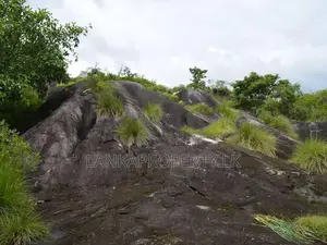 Land for Sale in Warana, Kalagedihena