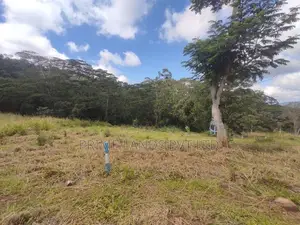 Pussalawa නගරයට ආසන්නව ඉඩමක්