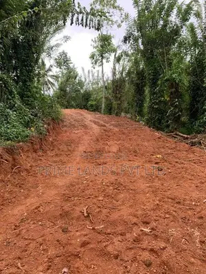 Land for Sale Pilimathalawa