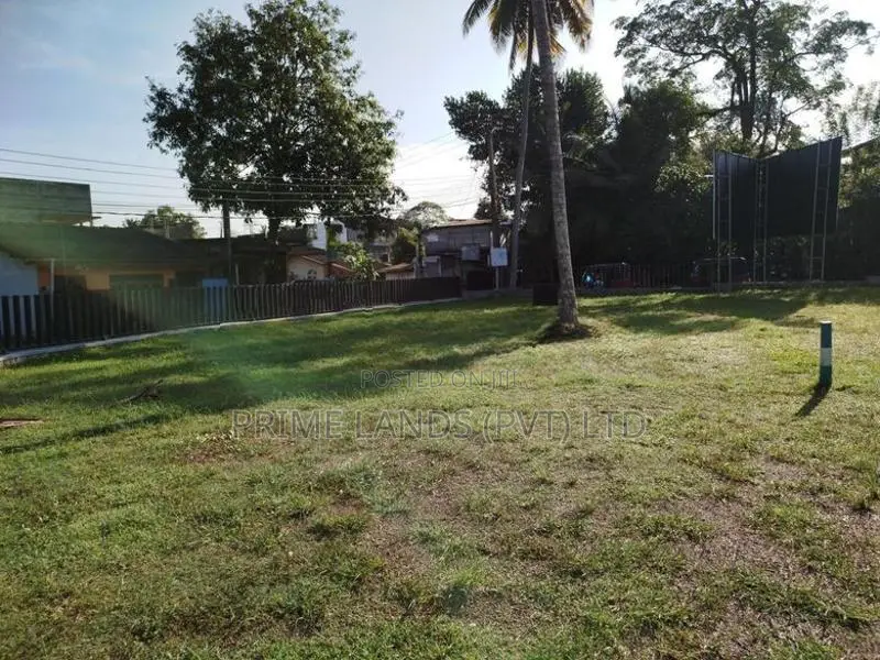 රත්මල්දේණිය පාරට මුහුනලා බිම් කොටසක් විකිණීමට
