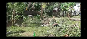 Land for Sale in Malabe