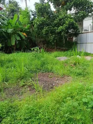 Land for rent