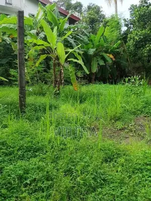 Land for rent