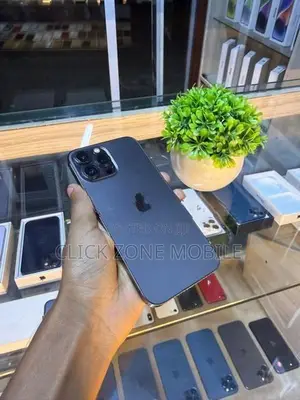 Apple iPhone 13 Pro Max 256GB (Used)