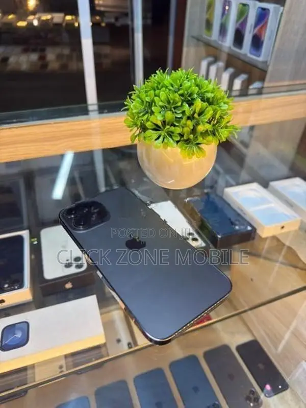Apple iPhone 13 Pro Max 256GB (Used)