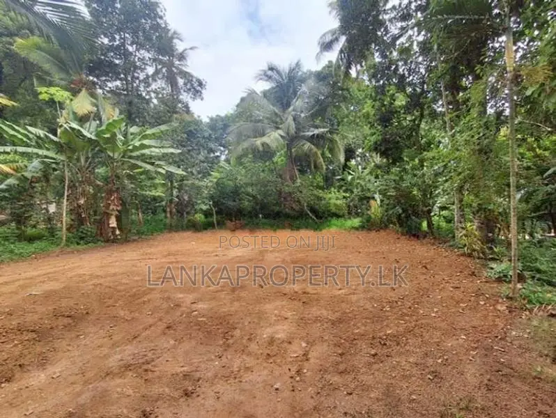 Prime Commercial Land for Sale at Gampaha.
