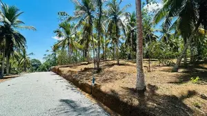 නේවාසික බිම් කොටස් විකිණීම පිලියන්දල
