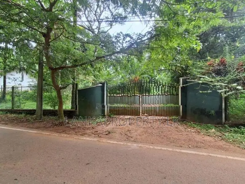 Prime Commercial Land for Sale at Gampaha.