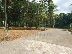 මිනුවන්ගොඩින් ඉඩමක්