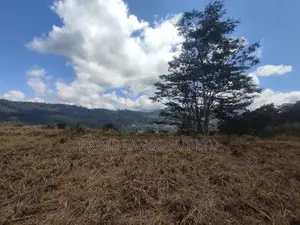 Pussalawa නගරයෙන් ඉඩමක්