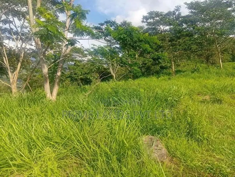 Beautiful land in pussalawa