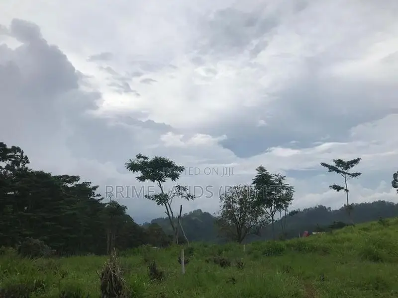 Land for Sale in Pussellawa