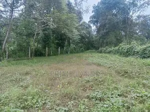 Land For Sale Dikhenapura