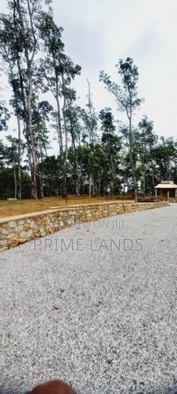 Land For Sale Bellapitiya