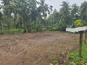 Land for Sale Alubomula