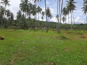 නාරම්මලින් ටවුමට ලගින් සුපිරි ඉඩමක්