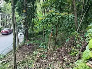 Commercial Land in Kandy City Limits