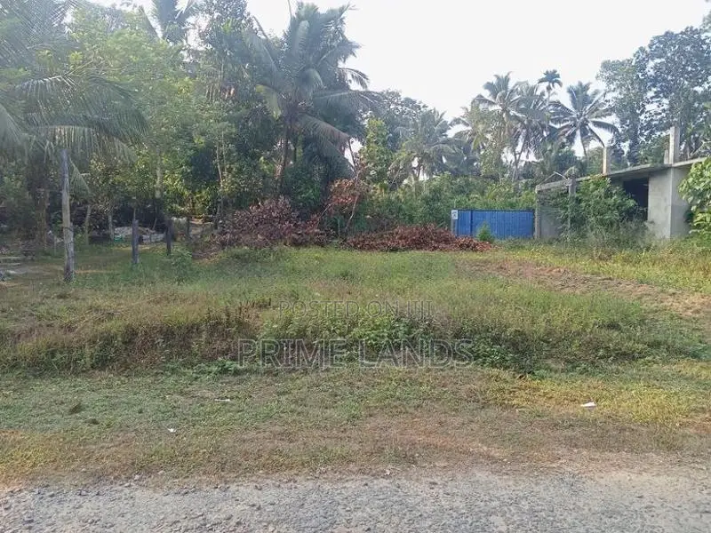 Land For Sale Dikhenapura
