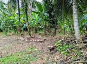 Polwatta Pannipitiya 47 Perches of Land for Sale