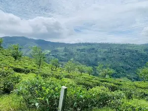 Beautiful Land in Pudaluoya