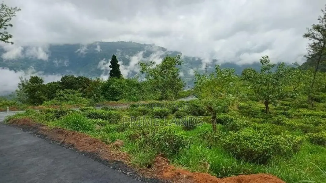 Land for Sale in Pudaluoya