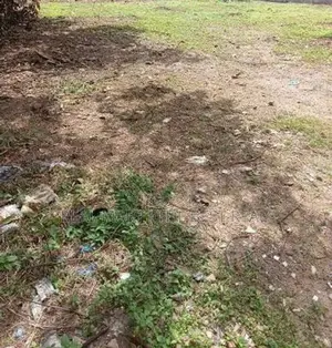 PILIYANDALA : 480P HIGHLY COMMERCIAL LAND FOR SALE
