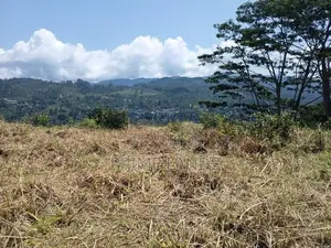 Valuable Land for sale in Pussallawa
