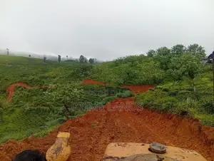 Land for Sale in Hatton