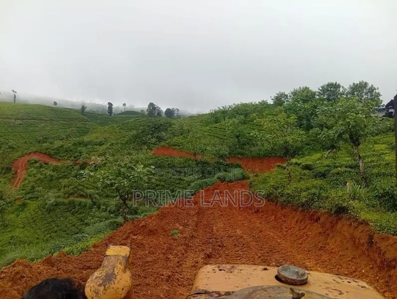 Land for Sale in Hatton