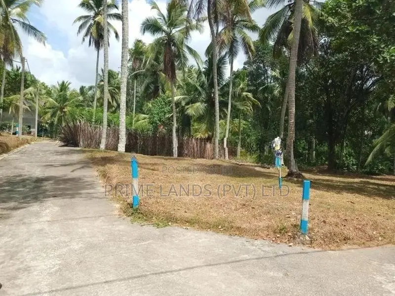 මිනුවන්ගොඩින් ඉඩමක්