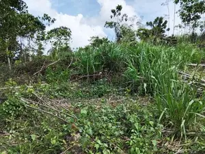 මාතර කණංකේ ප්‍රදේශයෙන් පර්චස් 160ක ඉඩමක් විකිණීමට.