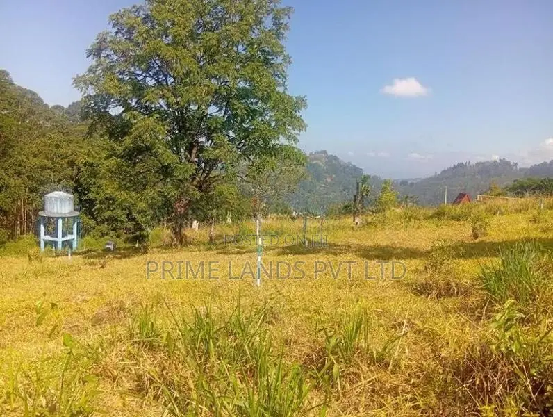 Pussalawa නගරයෙන් ඉඩමක්