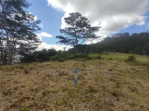 Beautiful land in pussalawa