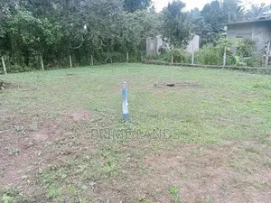 Land For Sale Dikhenapura