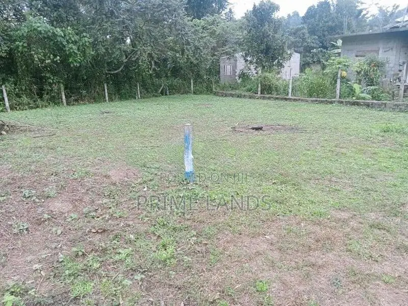 Land For Sale Dikhenapura