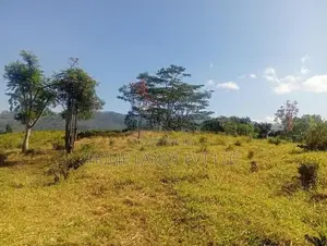 Beautiful Land Sale in Pussalawa