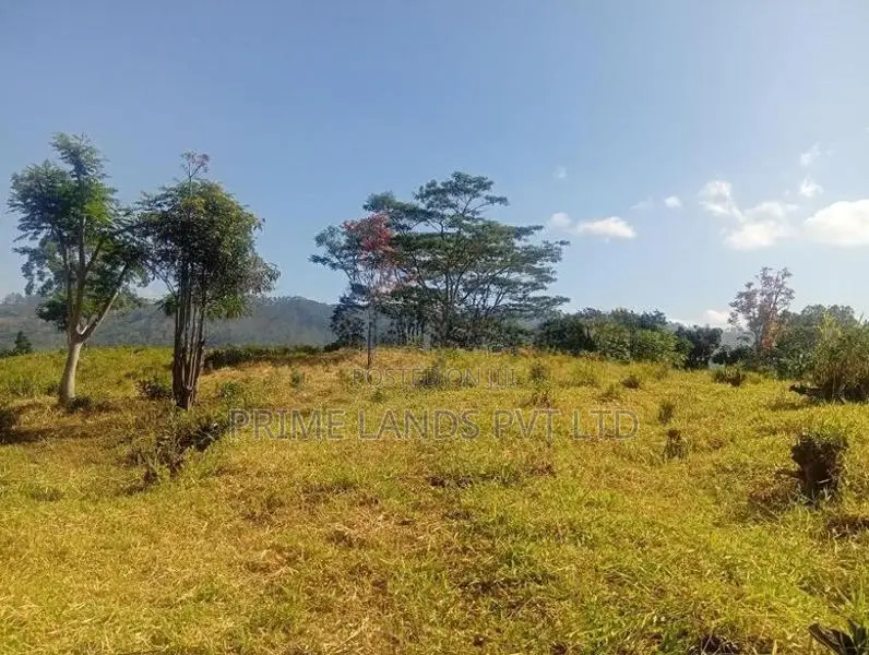 Beautiful Land Sale in Pussalawa