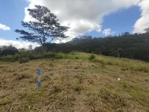 Beautiful Land in Pussalawa