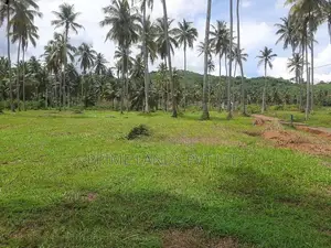 නාරම්මලින් ටවුමට ලගින් සුපිරි ඉඩමක්