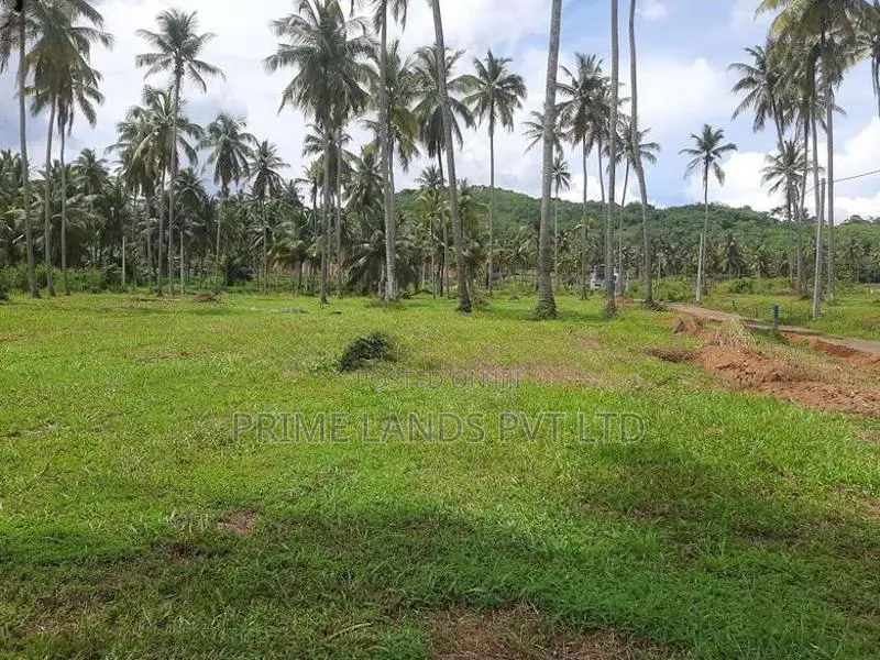 නාරම්මලින් ටවුමට ලගින් සුපිරි ඉඩමක්