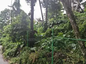 Commercial Land in Kandy City Limits
