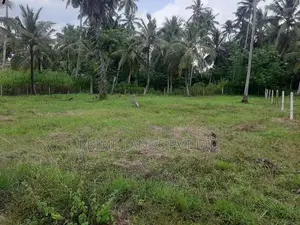 බිංගිරිය ටවුමෙන් හලාවත බස් පාරට ලගින් සුපිරි ඉඩමක්