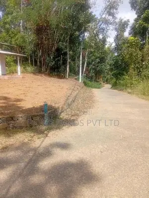 Beautiful Land Sale in Nelumdeniya