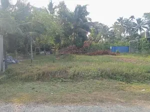 Land For Sale Dikhenapura
